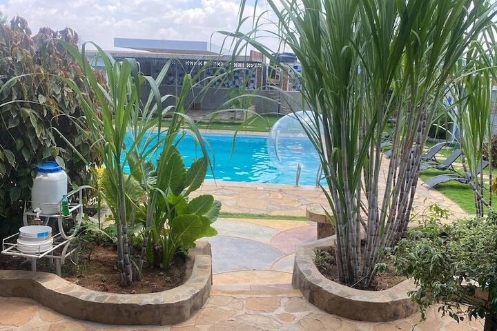 Pool 12 of 23