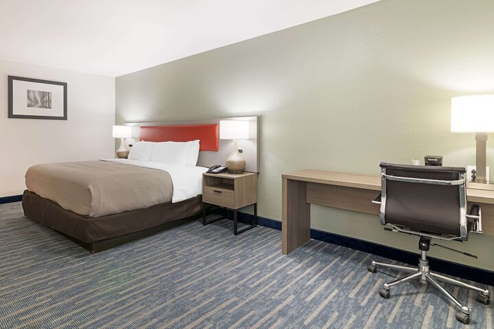 1 King Bed (6 of 8)