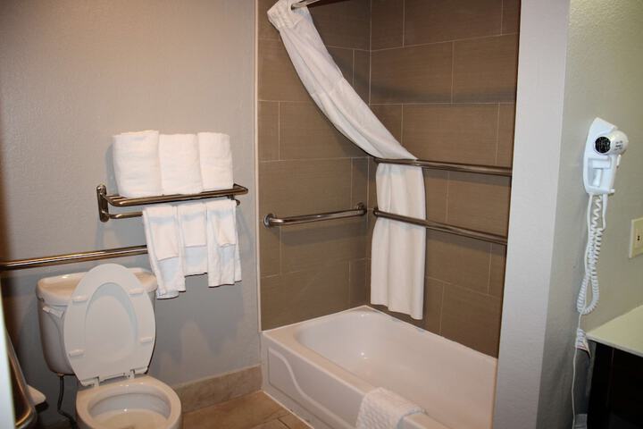 1 King Bed Accessible (8 of 16)