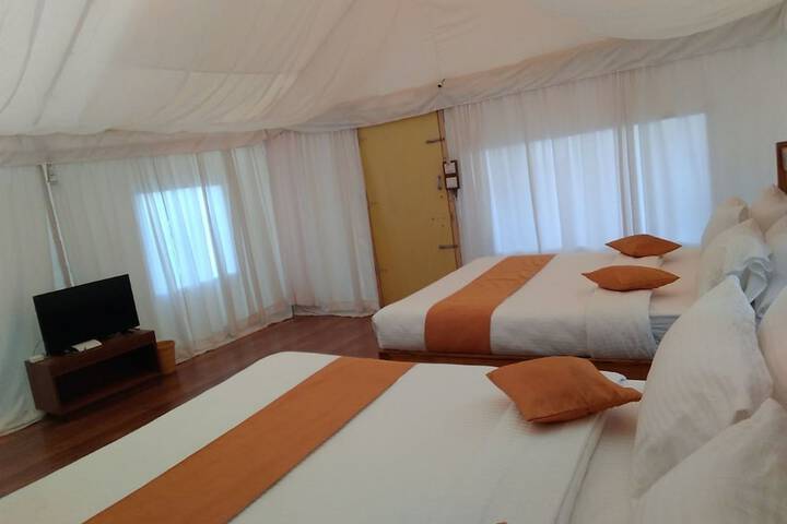 Room 6 of 47