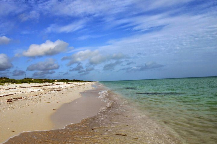 Beach 38 of 49