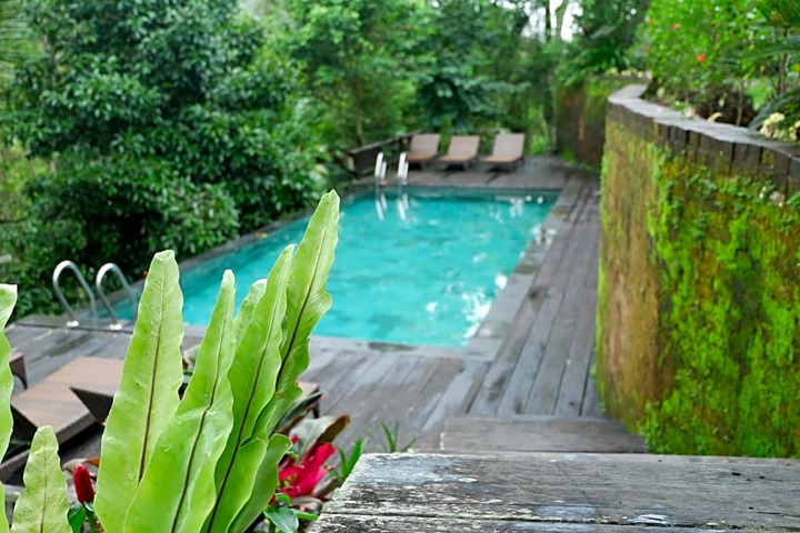 Spa and Wellness Pictures