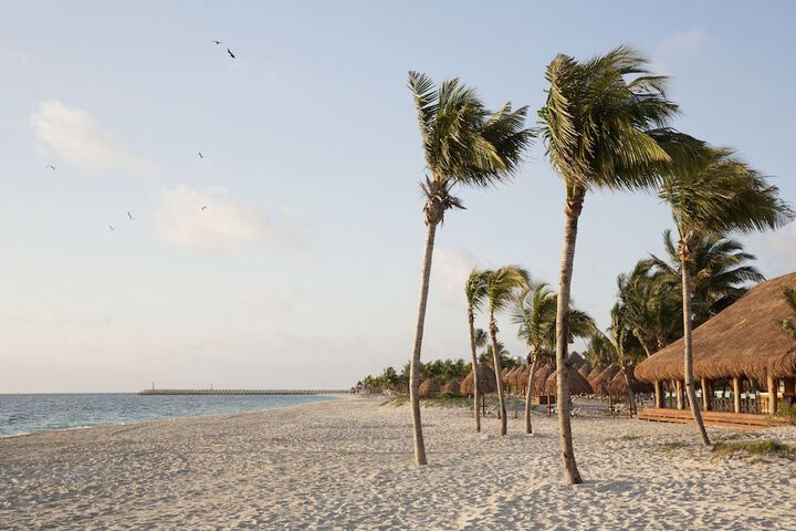 Beach 51 of 61
