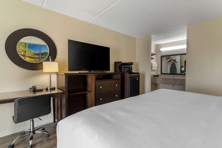 1 King Bed (13 of 15)