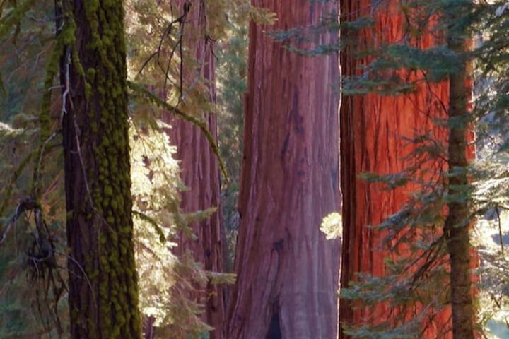 Outdoor Activities 89 of 145