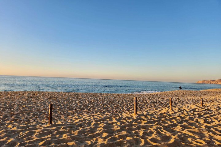 Beach 82 of 108