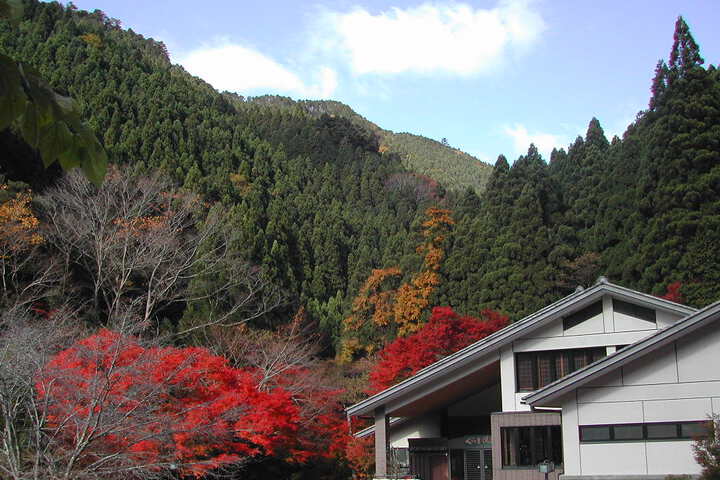 Spa and Wellness Pictures