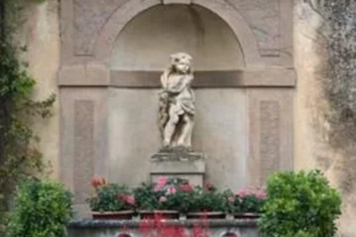 Photo 21