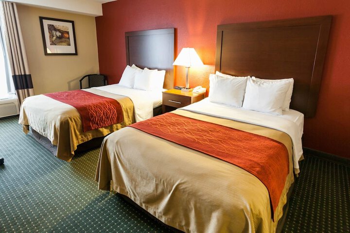 Standard Room, King or Two Doubles (2 of 8)