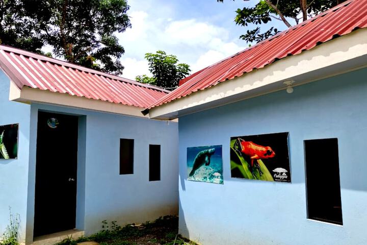 Room 14 of 51