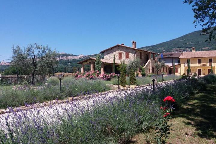 Sulla Strada di San Francesco