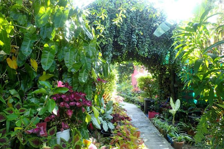 Spa and Wellness Pictures