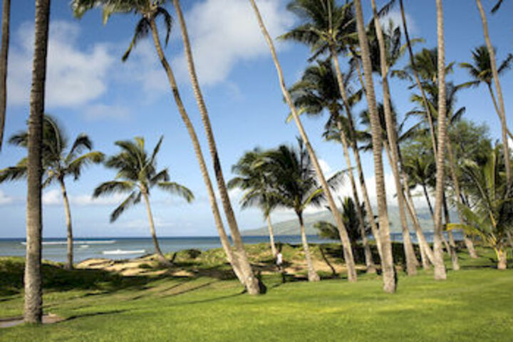 Property Grounds 62 of 69