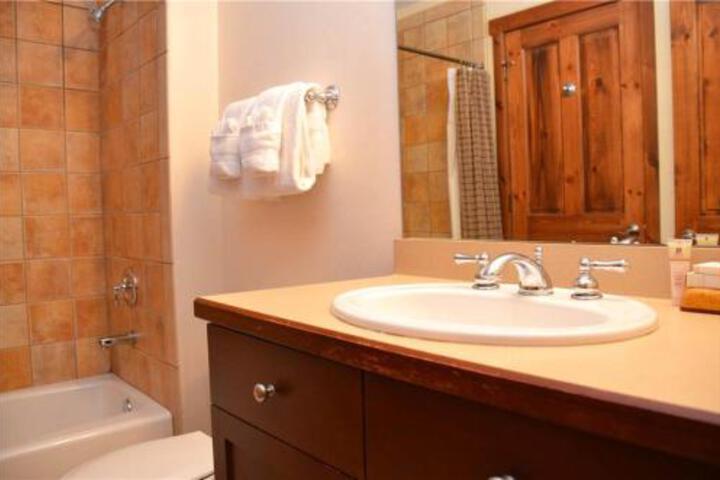 Main Street Junction Townhomes Unit 7 in Breckenridge, CO
