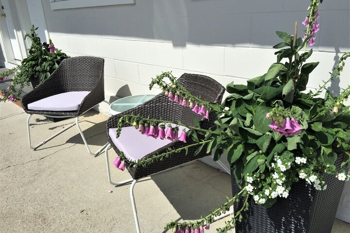 Terrace/Patio 47 of 80