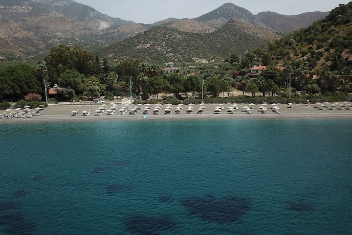 Beach 54 of 68