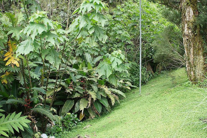 Property Grounds 27 of 63