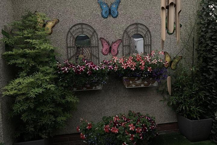 Spa and Wellness Pictures