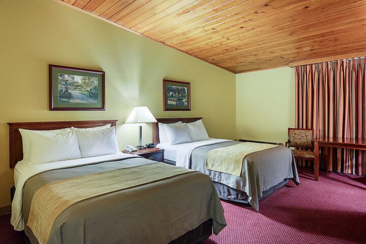 2 Double Beds (1 of 5)
