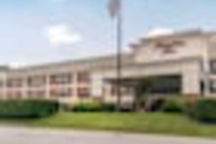 Primary image