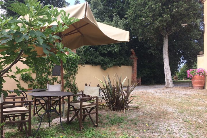 Terrace/Patio 53 of 81