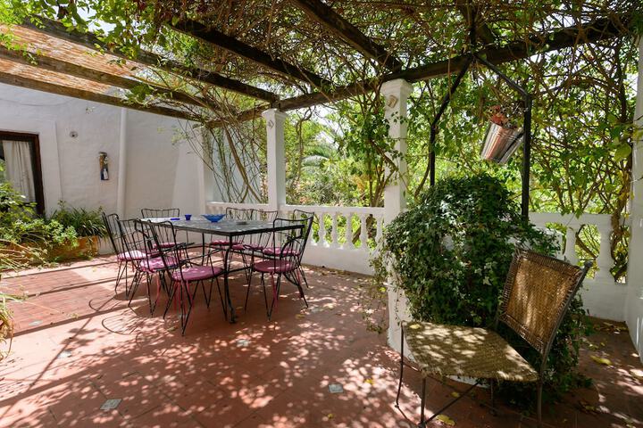 Terrace/Patio 20 of 22