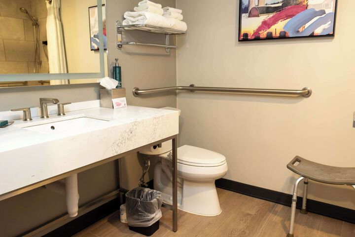 1 King Mobility Hearing Accessible Roll in Shower (4 of 8)