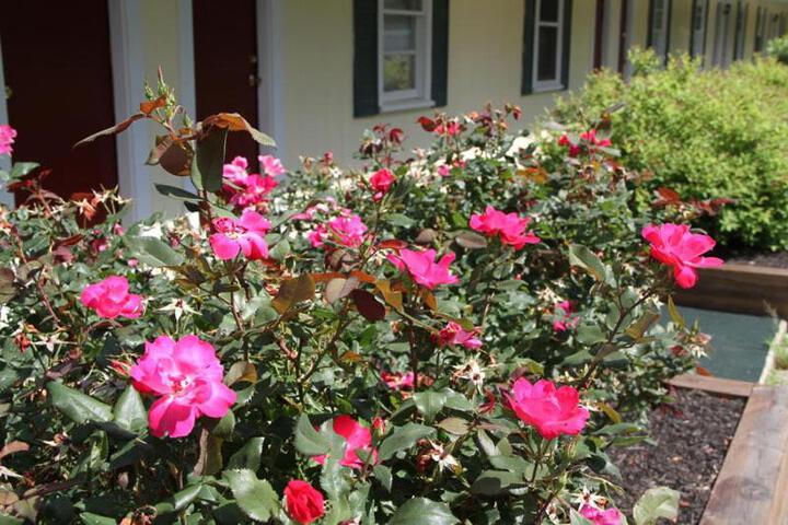 Photo 21