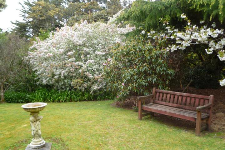 Spa and Wellness Pictures