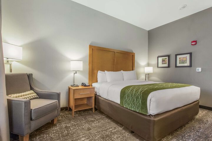1 King Bed (6 of 18)