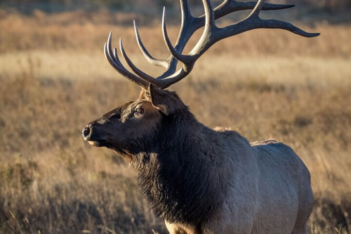 Property Grounds 30 of 50