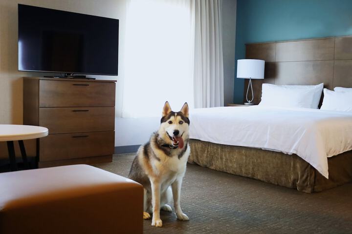 2 Queen 1 Bedroom Suite Mobility Accessible Roll Shower (22 of 29)