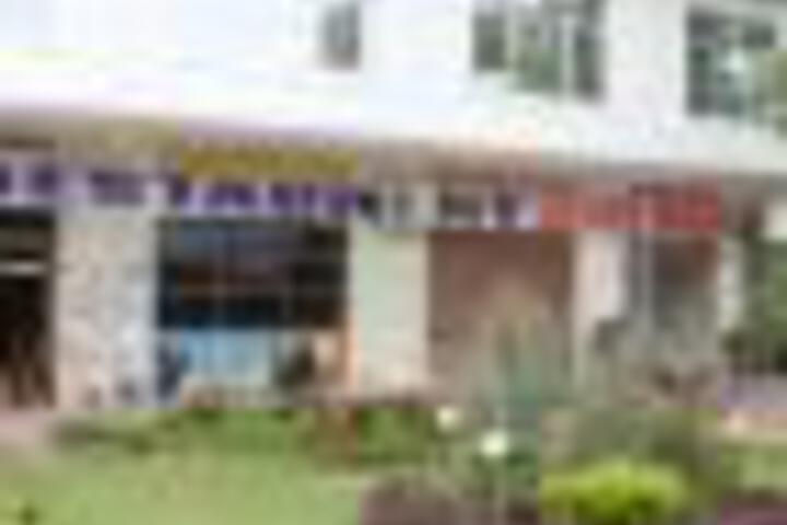 Hotel Lotus India