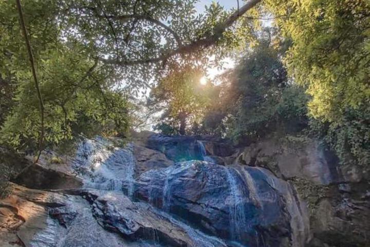 General 67 of 74