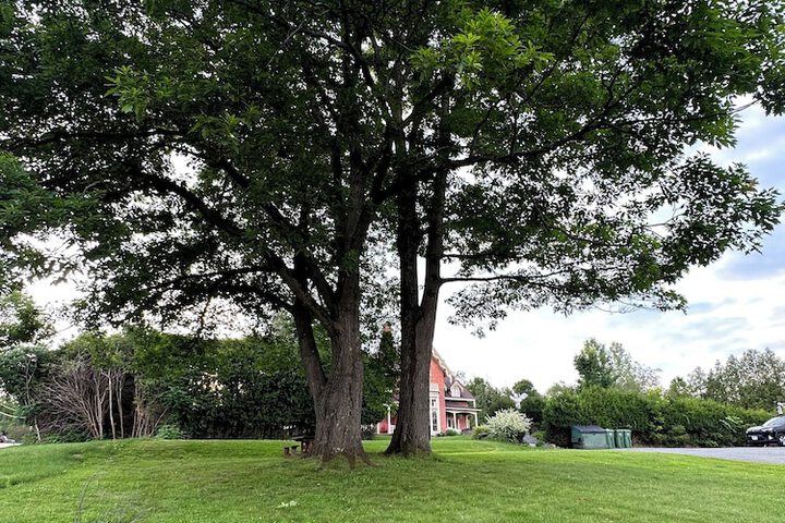 Property Grounds 53 of 57