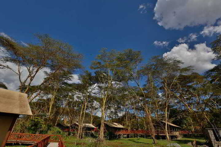 General view