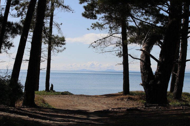 Beach 18 of 28