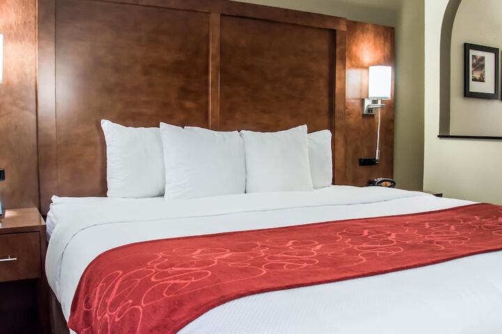 Suite 2 Queen Beds (12 of 16)