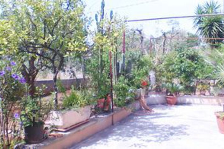 Terrace/Patio 20 of 20