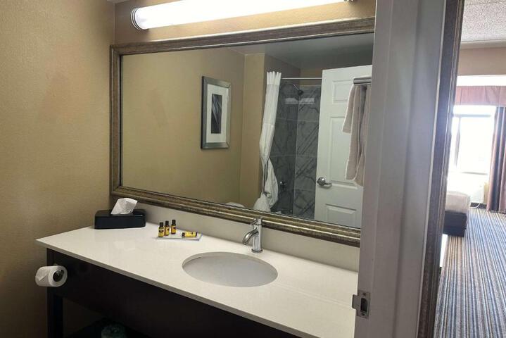 1 King Bed Mobility Hearing Accessible Room Roll in Shower Non-Smokinga (15 of 22)