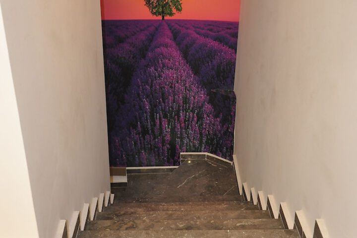 Hotel Interior 18 of 22
