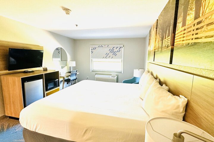 1 King Bed (6 of 19)