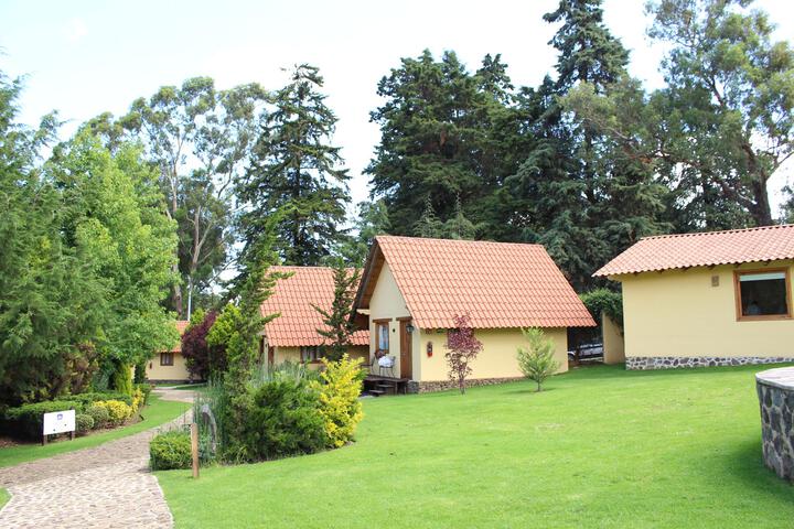 General view