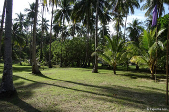 Property Grounds 55 of 63