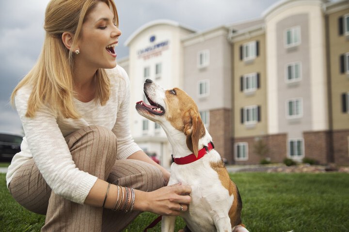 Pet-friendly