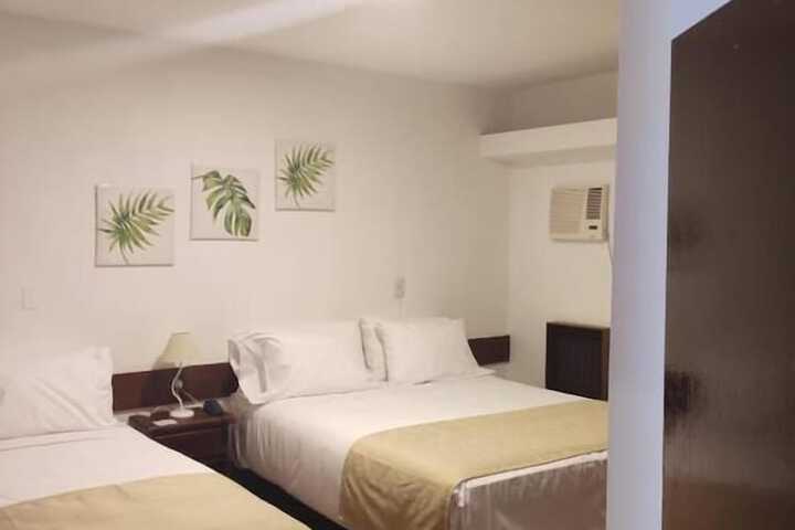 Room 4 of 62