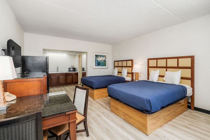 Studio 2 Queen Beds Kitchenette (8 of 18)