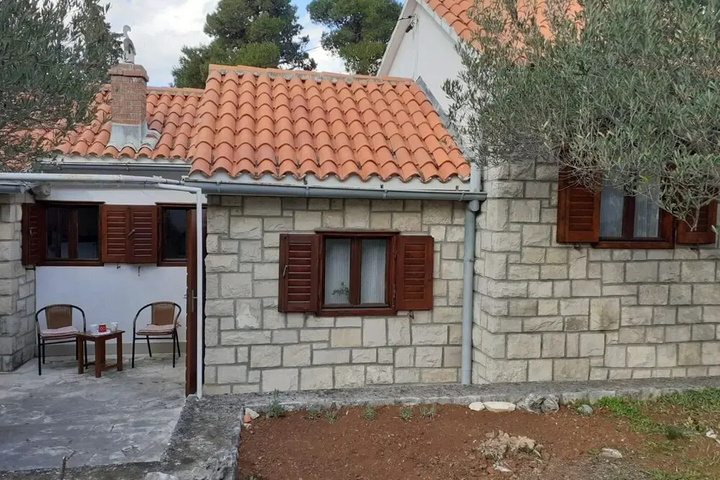 Olive 150 m From sea H