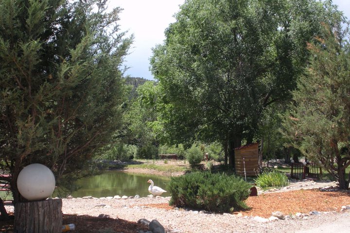 Property Grounds 8 of 14