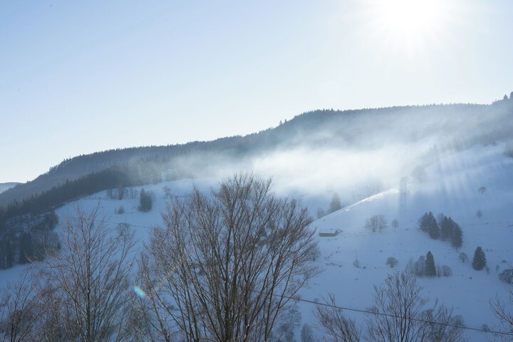 Bergvital Hotel Todtnau in Todtnau